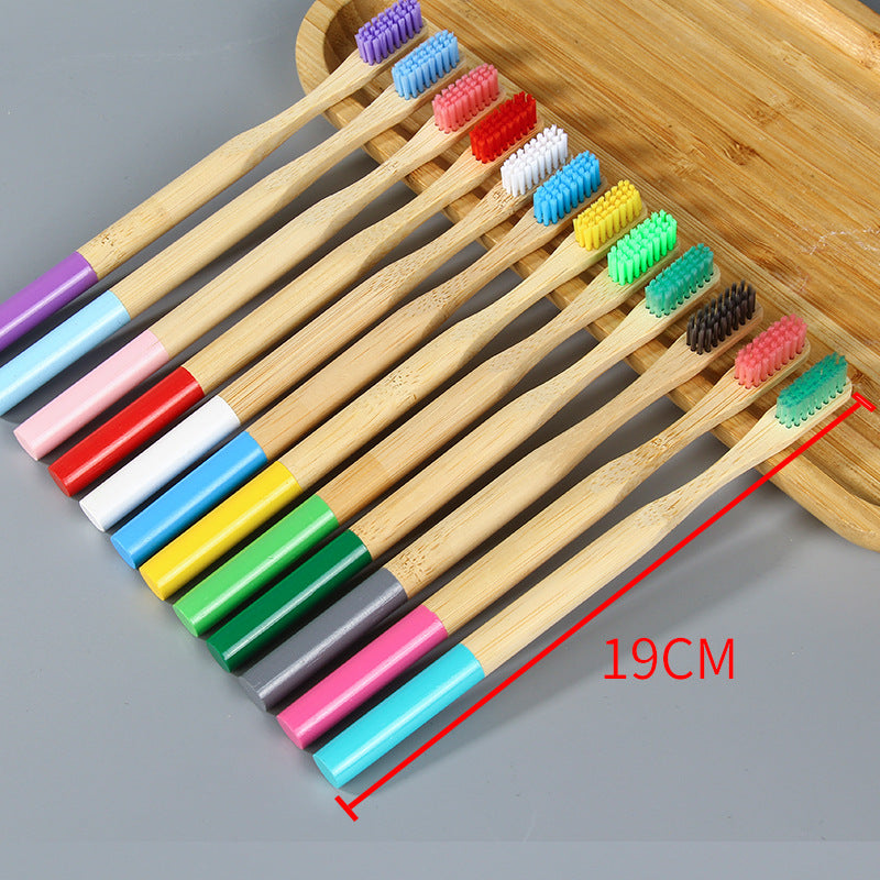 Switch to Eco Bamboo Toothbrush Set for Healthier Smiles